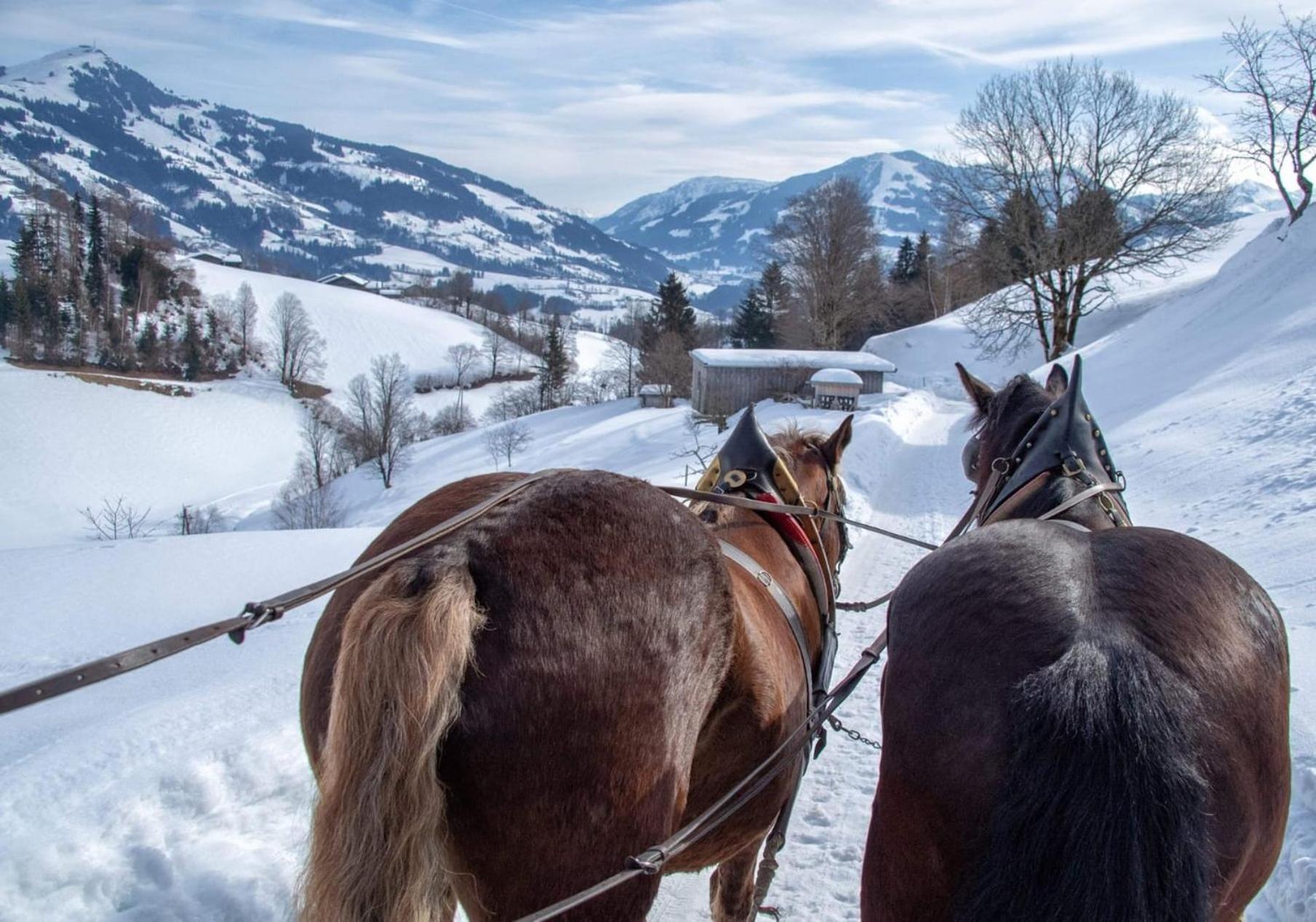 Das Hopfgarten Familotel Tirol Hopfgarten im Brixental Eksteriør billede